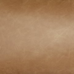 Danvale Pillow (Set of 4) - Furniture 2 Go- FL