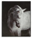 Archerwick Wall Art - Furniture 2 Go- FL
