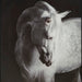 Archerwick Wall Art - Furniture 2 Go- FL
