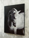 Archerwick Wall Art - Furniture 2 Go- FL