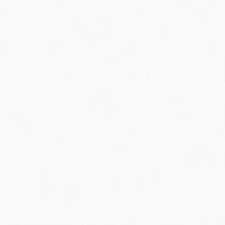 Bostwick Shoals Bedroom Set - Furniture 2 Go- FL