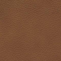 Magic Man 5-Piece Power Reclining Sectional - Furniture 2 Go- FL